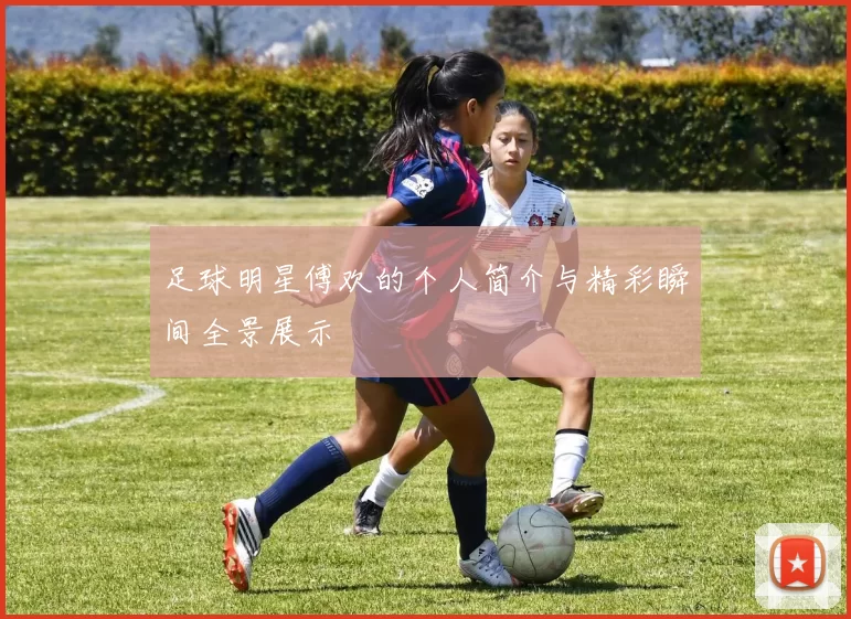 足球明星傅欢的个人简介与精彩瞬间全景展示