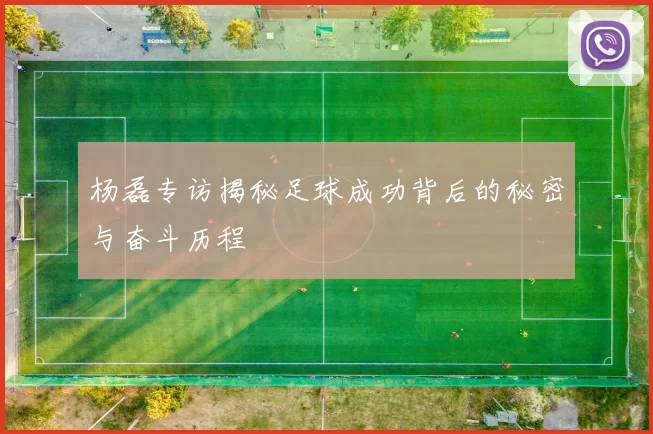 杨磊专访揭秘足球成功背后的秘密与奋斗历程