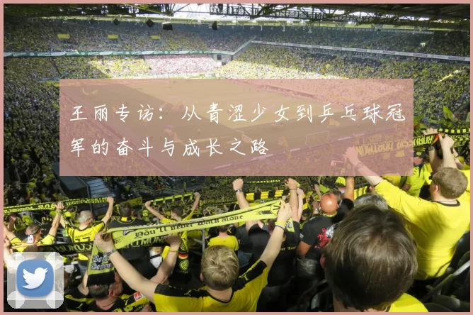 王丽专访：从青涩少女到乒乓球冠军的奋斗与成长之路