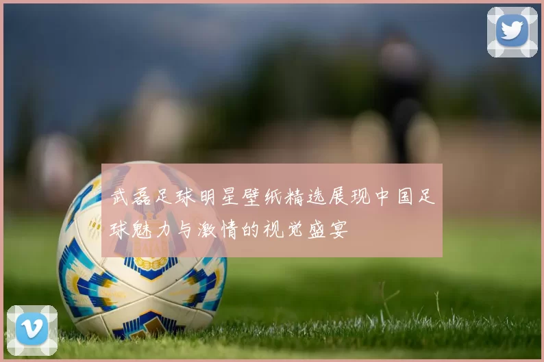 武磊足球明星壁纸精选展现中国足球魅力与激情的视觉盛宴
