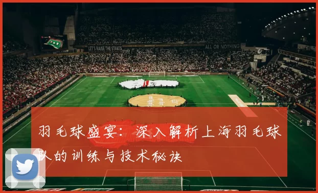 羽毛球盛宴：深入解析上海羽毛球队的训练与技术秘诀