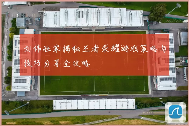 刘伟独家揭秘王者荣耀游戏策略与技巧分享全攻略