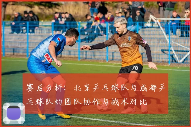 赛后分析：北京乒乓球队与成都乒乓球队的团队协作与战术对比